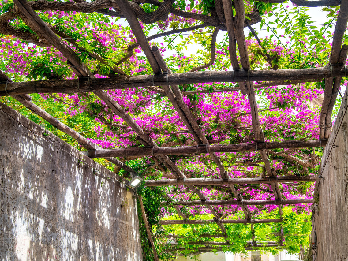 Visit the Amalfi Coast in Spring