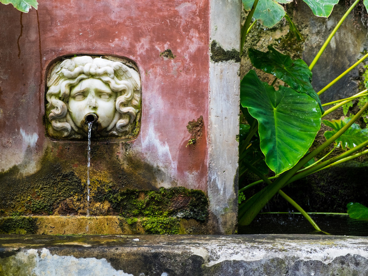 Il Giardino della Minerva di Salerno- Travel Amalfi Coast by Travelmar